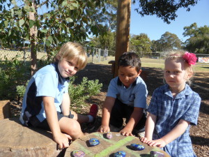 Pre primary